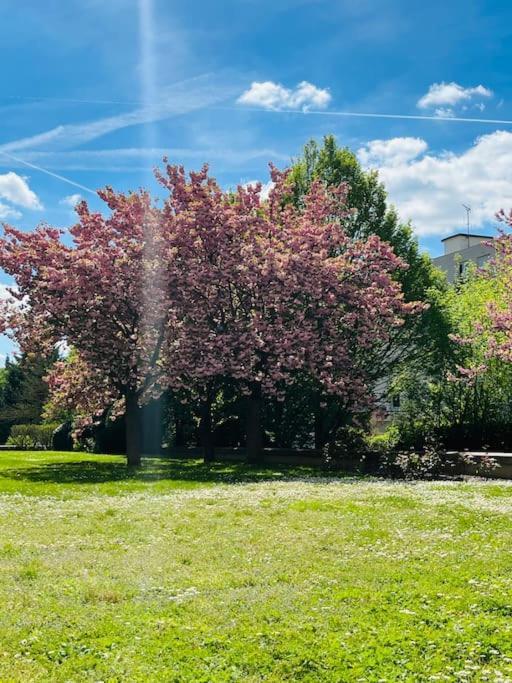 Studio Situe A 5 Min Du Chateau De Versailles Et Stationnement Gratuit Exterior photo